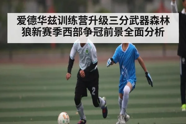 爱德华兹训练营升级三分武器森林狼新赛季西部争冠前景全面分析